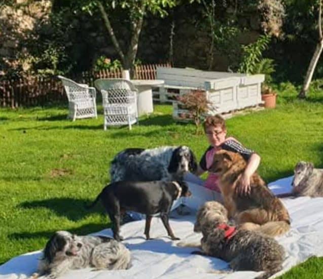 Sesión de educación canina en interior, con una persona acompañando a un perro en un entorno tranquilo