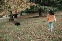 Persona paseando un perro adoptado con correa larga en una zona tranquila, el perro olfatea el suelo