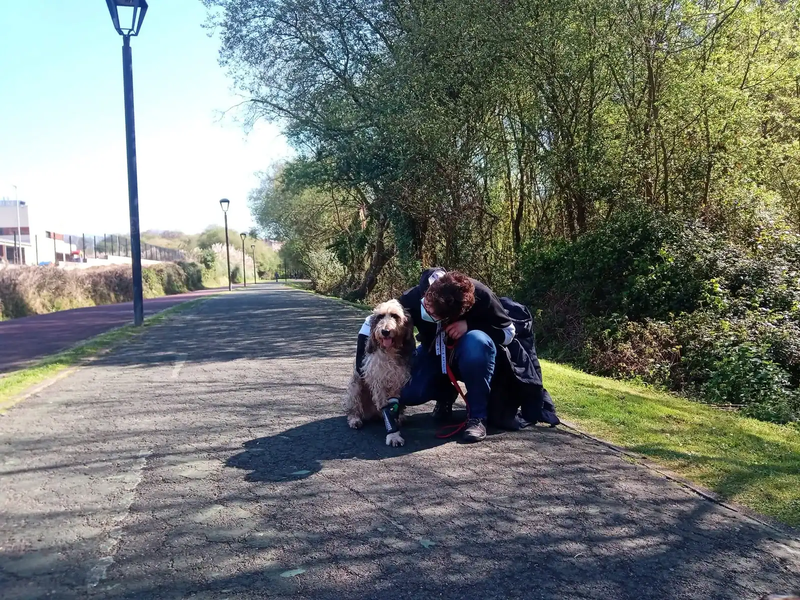 Perra relajada junto a su cuidadora en un entorno tranquilo, mostrando confianza y vínculo