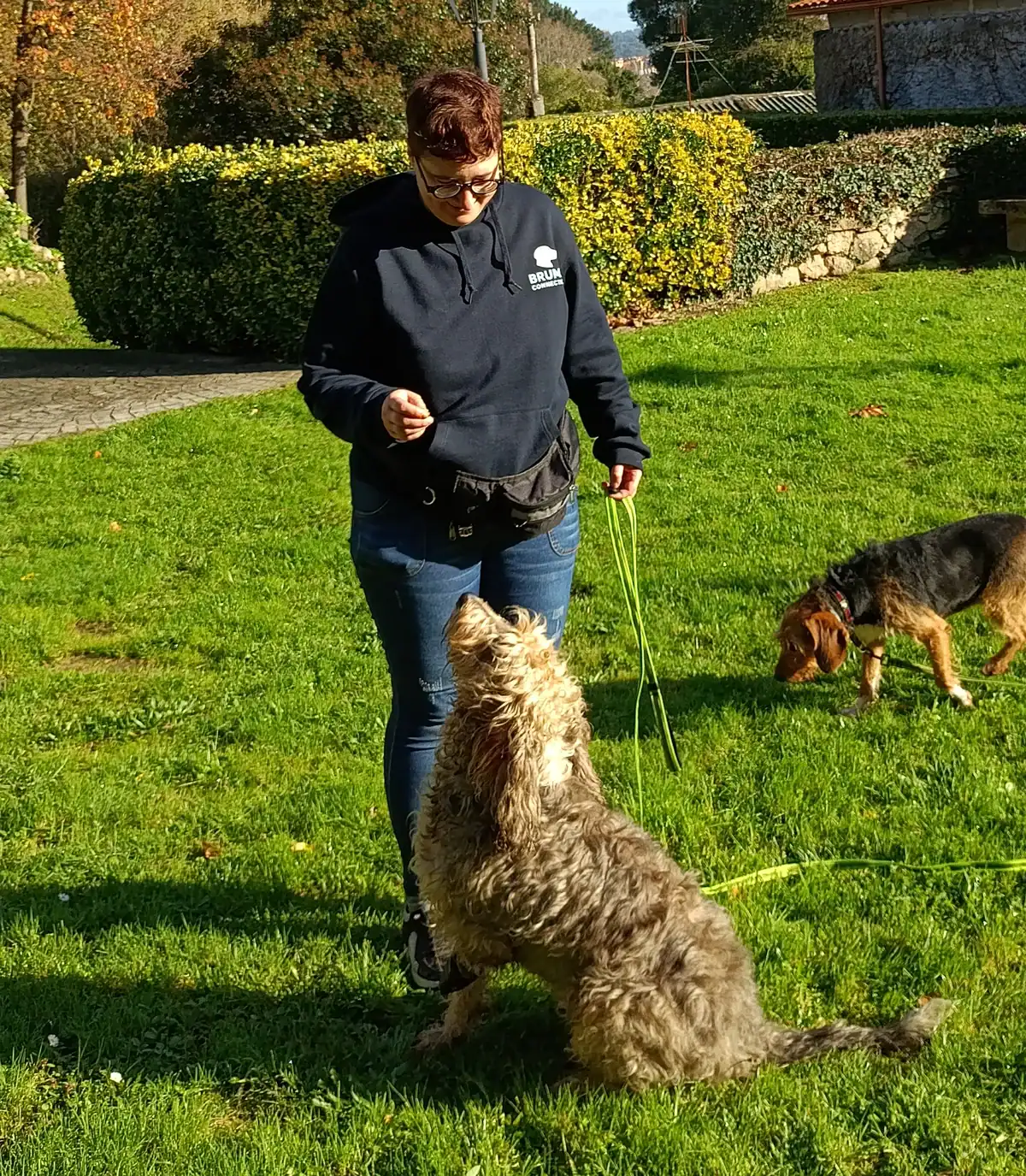 Luz, educadora canina de Bruma Connection, trabaja en un parque con Bruma mientras otra perra explora el césped en segundo plano.