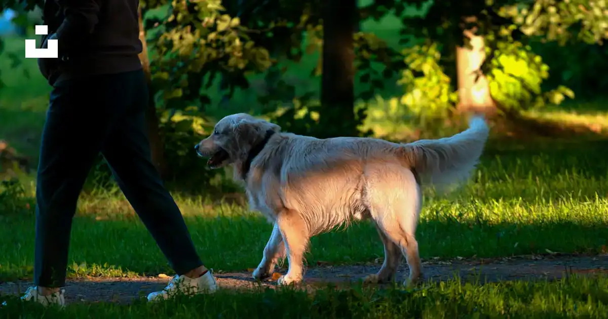 Photo 1671573980175 1ec7f0d17b13